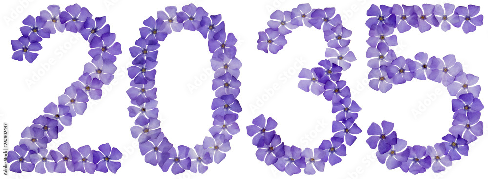Inscription 2035, from natural blue flowers of periwinkle, isolated on white background Inscription 2035, from natural blue flowers of periwinkle, isolated on white background