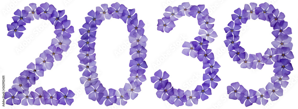 Inscription 2039, from natural blue flowers of periwinkle, isolated on white background