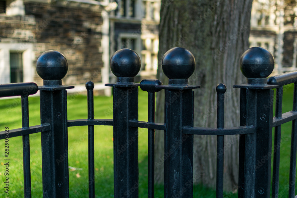 Black wrought iron fence posts, close-up Black wrought iron fence posts, close-up