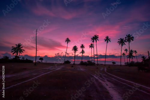 The background of the morning sunrise on the lake  the beautiful twilight sky changes over time  the blurring of the wind blowing through the trees and the beautiful seaside trees.