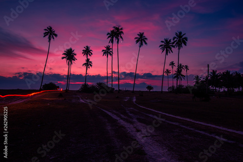 The background of the morning sunrise on the lake, the beautiful twilight sky changes over time, the blurring of the wind blowing through the trees and the beautiful seaside trees.