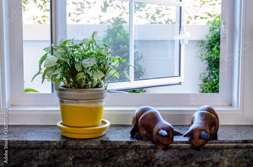 Pot Plant and Ornament photo