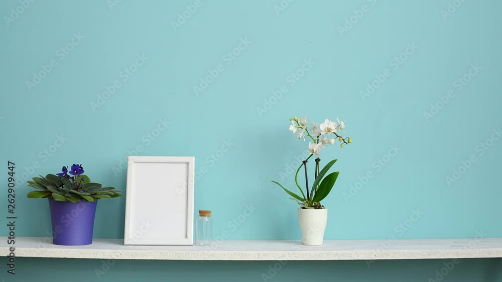 Picture frame mockup. White shelf against pastel turquoise wall with potted orchid and hand putting down violet plant. Picture frame mockup. White shelf against pastel turquoise wall with potted orchid and hand putting down violet plant.