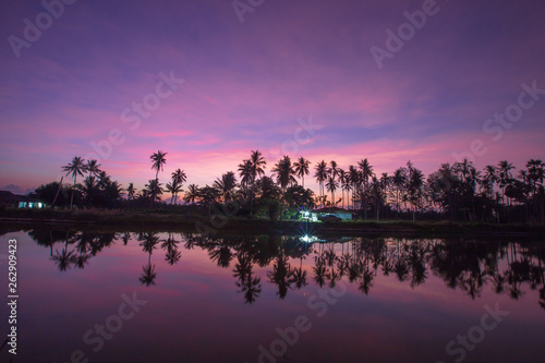 Natural background, sunshine in the morning by the reservoir and the water reflection of coconut trees and lights from the residence, is a natural beauty seen during travel. 