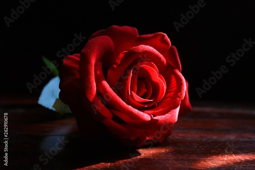 red rose petals for valentines and wedding loves red rose green leaf flower nature for valentines days and wedding object background natural light rose shines on the wood black