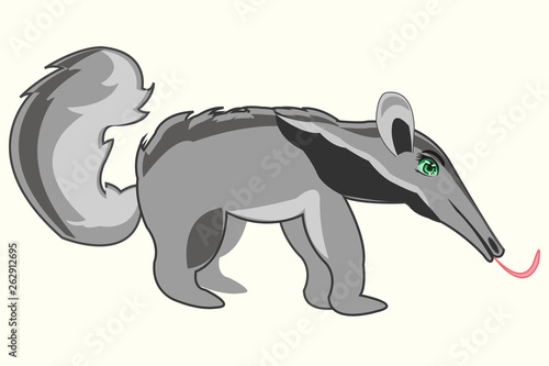 Wildlife anteater on white background is insulated