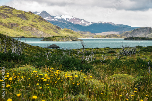 Lago Pehoe in Torres Del Paine National Park in the Patagonia Region of Southern Chile 