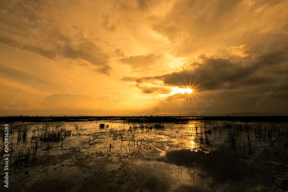 landscape of wetland landscape of wetland