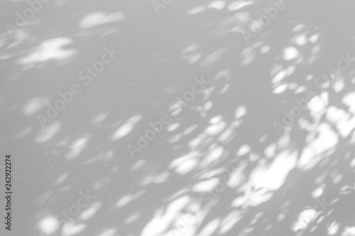 Shadow blur of the leaves on white wall abstract background.
