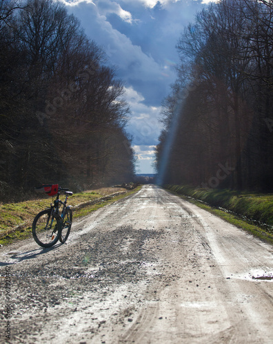 Fototapeta Naklejka Na Ścianę i Meble -  bicycle on country road