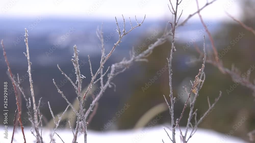 Ural mountains in winter. Dawn. Ural mountains in winter. Dawn.