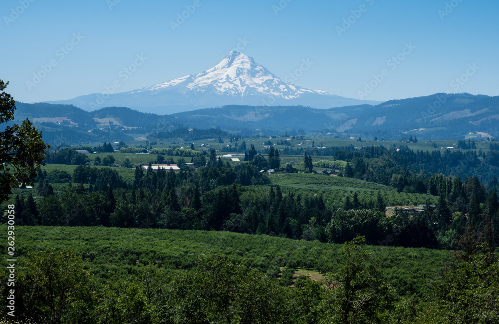 View of the farmlands in Columbia River Valley with Mount Hood at the background from Panorama Point - Hood River, Oregon state, USA