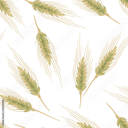 Ears of rye seamless pattern on a white background. Vector illustration of a cereal plants in cartoon flat style.