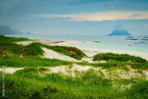 Sea coast grassy dunes Andoya Norway