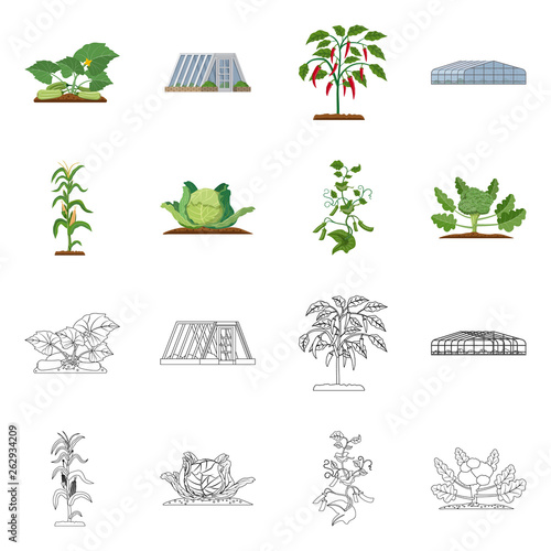 Vector design of greenhouse and plant sign. Collection of greenhouse and garden stock vector illustration.