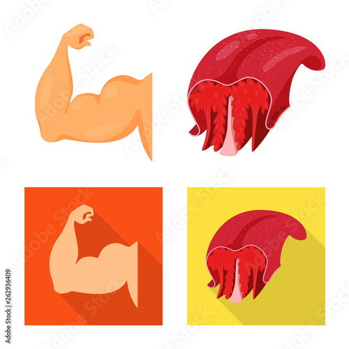 Vector design of fiber and muscular symbol. Collection of fiber and body  stock vector illustration.
