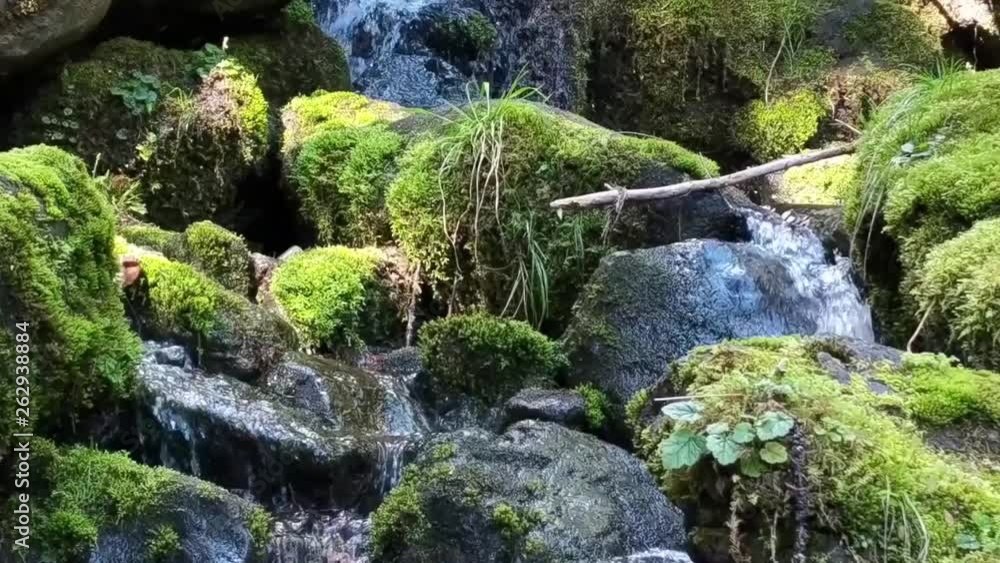 Water cascading over moss covered rocks in a mountain stream on a warm spring day Water cascading over moss covered rocks in a mountain stream on a warm spring day