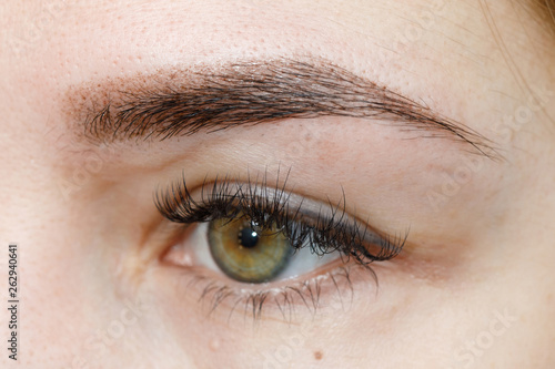 Result of permanent makeup, tattooing of eyebrows