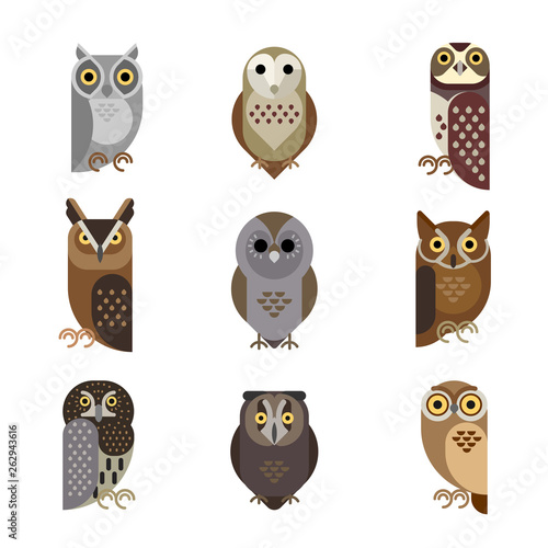 Vector owl characters set showing different species.