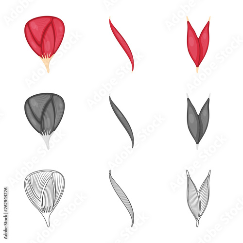 Vector design of fiber and muscular logo. Set of fiber and body  vector icon for stock.