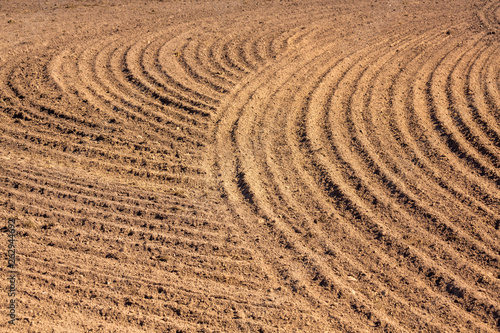 brown ground plowed field, harrow lines. Arable background. Pattern of curved ridges and furrows in a humic sandy field. A freshly ploughed field showing a geometric pattern of shadows in the furrows © pesenka77