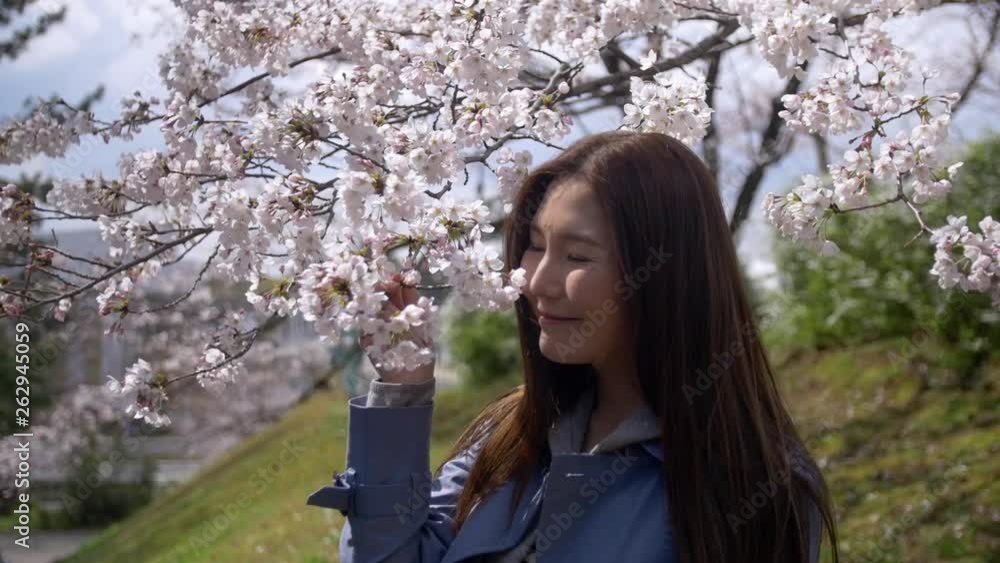 Beautiful Japanese woman smiling with cherry blossom, Slow-Motion. Beautiful Japanese woman smiling with cherry blossom, Slow-Motion.