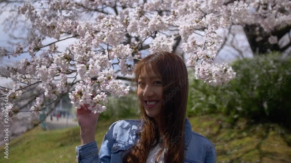 Attractive Japanese woman smiling with cherry blossom, Slow-Motion. Attractive Japanese woman smiling with cherry blossom, Slow-Motion.