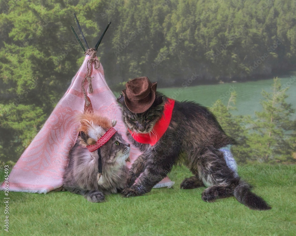 Kitty in costume Indian and old cat in costume cowboy near wigwam Stock ...