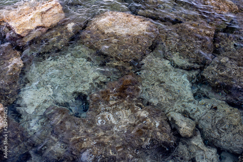 Rocks in water. Smooth large stones in clear seawater. Abstract background. 