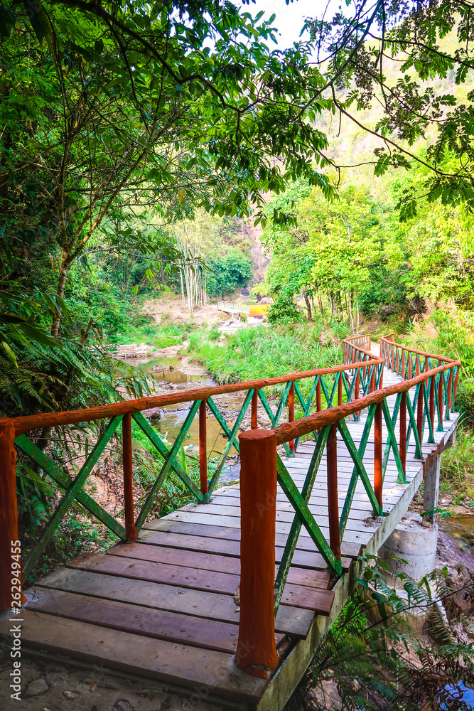 Green and orange  wood bridge in the forest