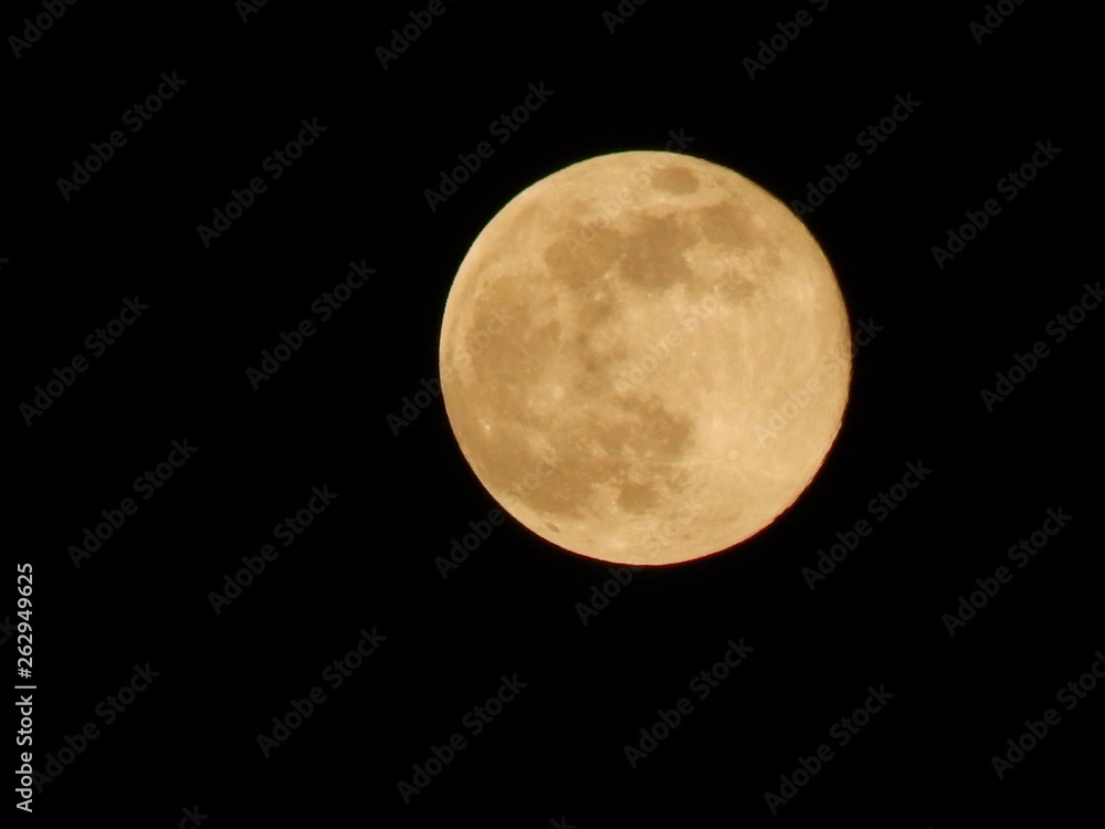 Full Moon/Blood Moon Full Moon/Blood Moon