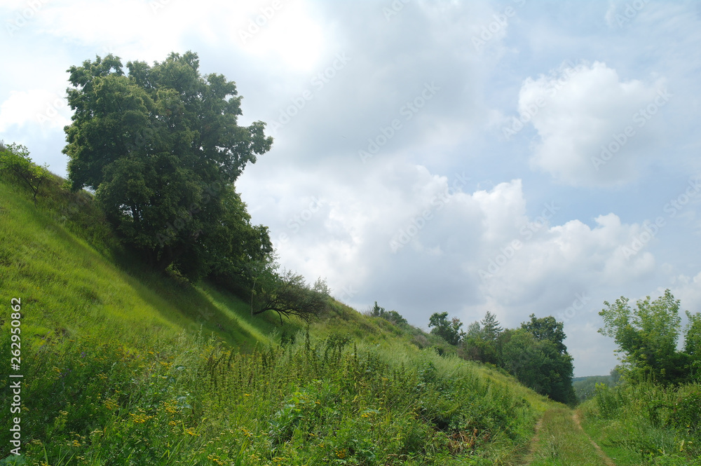 Idyllic spring landscape in the mountains