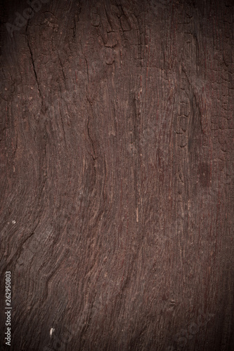 Texture of old bark wood use for natural © pandaclub23