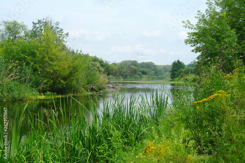 Obraz na płótnie Summer lake near the forest with trees. w salonie