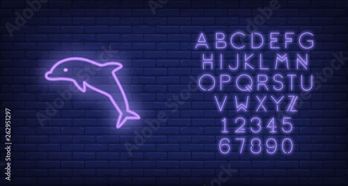 Dolphin neon sign