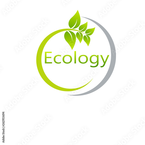  Green earth ,Green leaf paper art. Ecology concept. white background