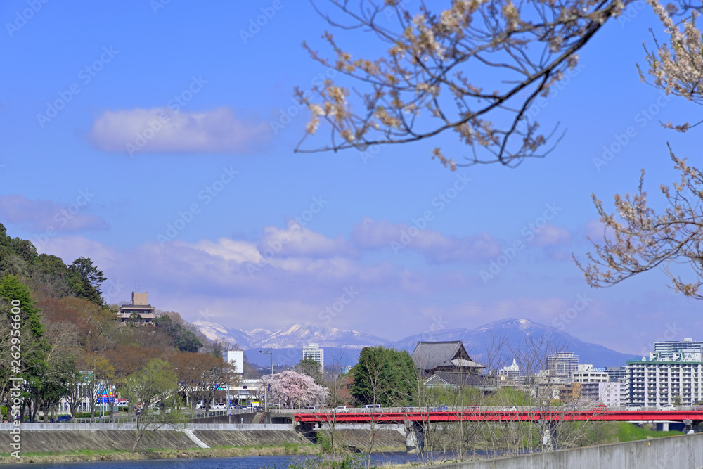 Obraz premium 仙台市の広瀬橋付近より上流を望む