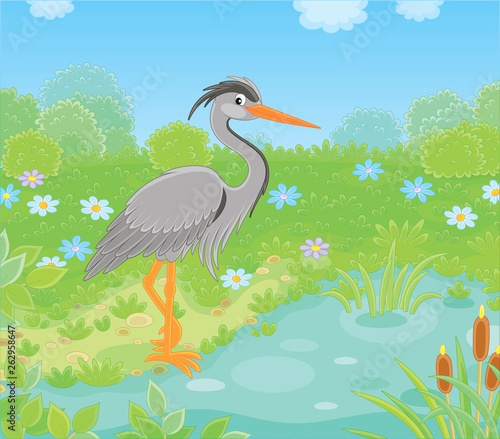 Grey heron by a small lake among green grass and flowers of a meadow on a summer day, vector illustration in a cartoon style