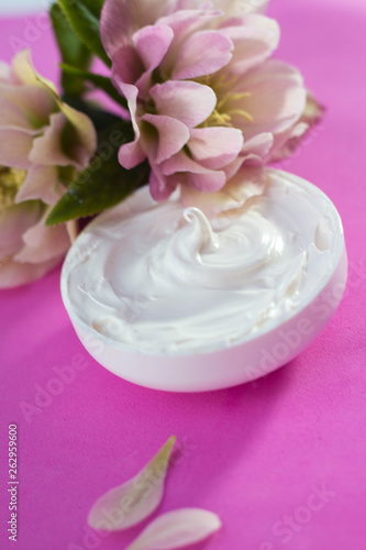  beautiful hellebore and face cream pink background.