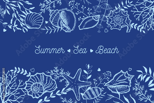 Seashells, seaweed and twigs on a dark blue background. Template for postcards, invitations.