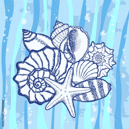 Composition of seashells on a sea background. Dot design.