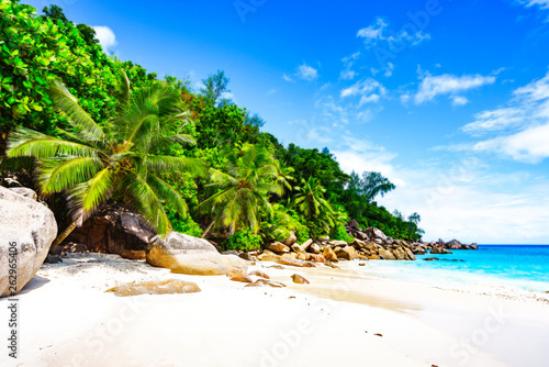 paradise beach on the seychelles 9