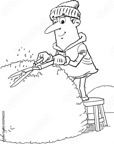 gardener cutting the bushes