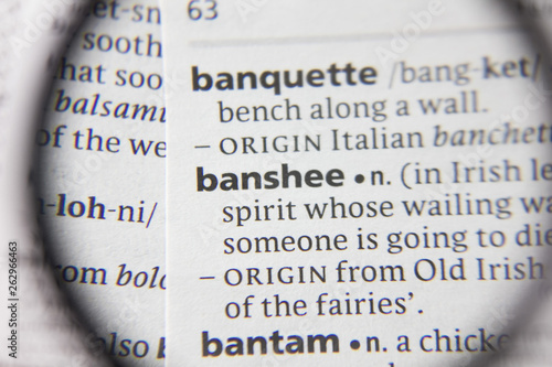 The word or phrase banshee in a dictionary.