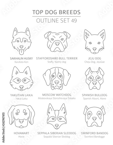 Top dog breeds. Hunting, shepherd and companion dogs set. Pet outline collection