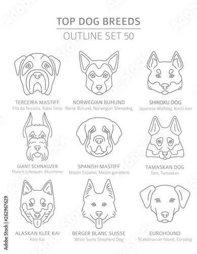 Top dog breeds. Hunting, shepherd and companion dogs set. Pet outline collection