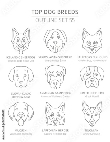 Top dog breeds. Hunting, shepherd and companion dogs set. Pet outline collection