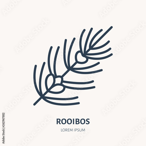 Rooibos flat line icon. Medicinal plant leaves vector illustration. Thin sign for herbal medicine, tree branch logo photo