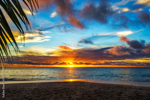 looking through palm leaf at sunset at anse georgette,praslin,seychelles 13