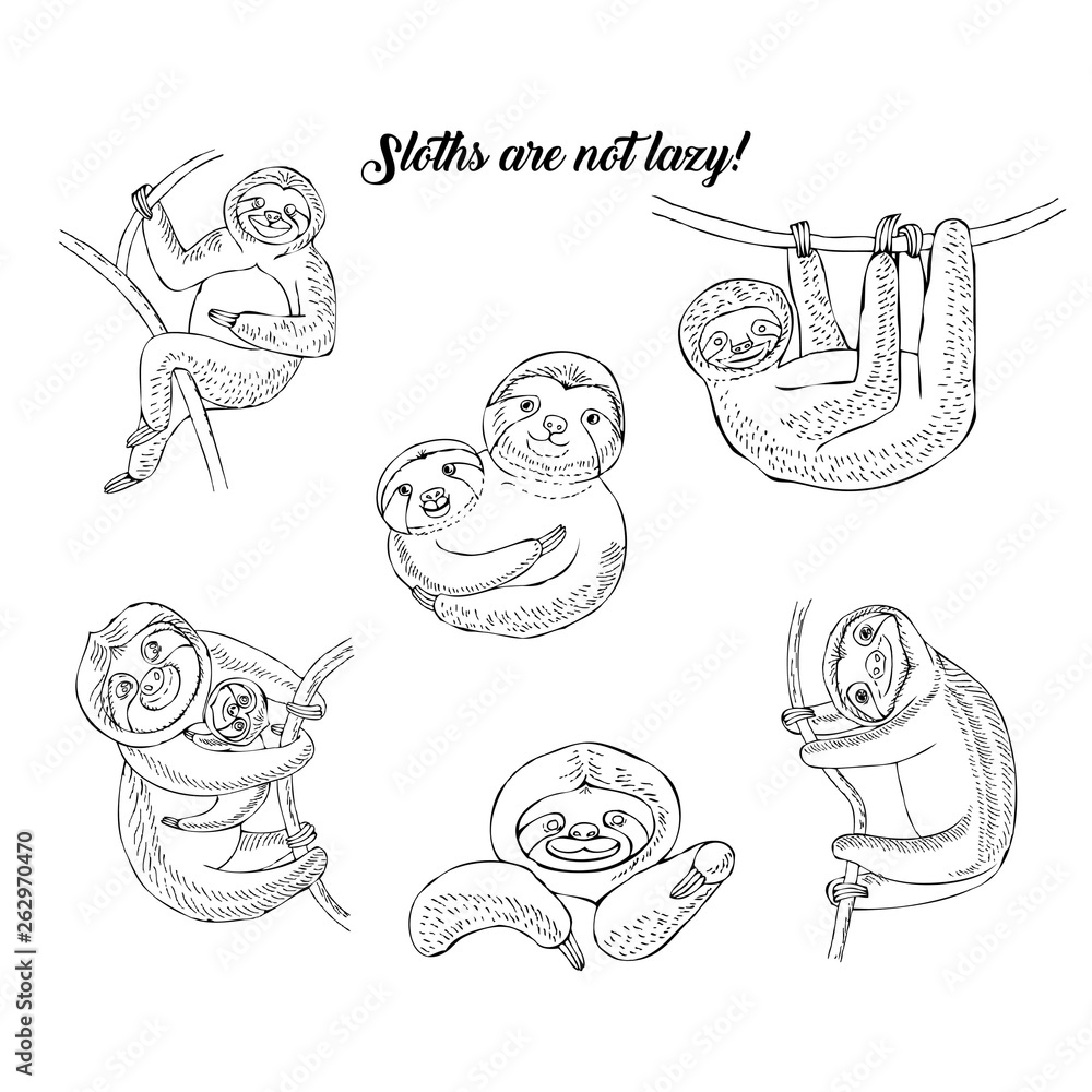 Sloths animals sketches. Hand Drawn Background 